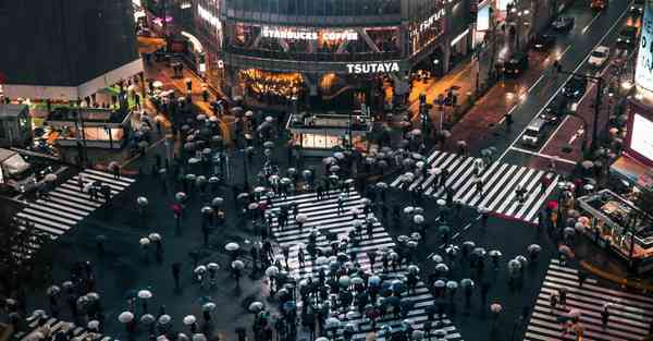 属猪2025年7月2日运势,属猪人2025年7月2日财运,生肖猪2025年7月2日运势